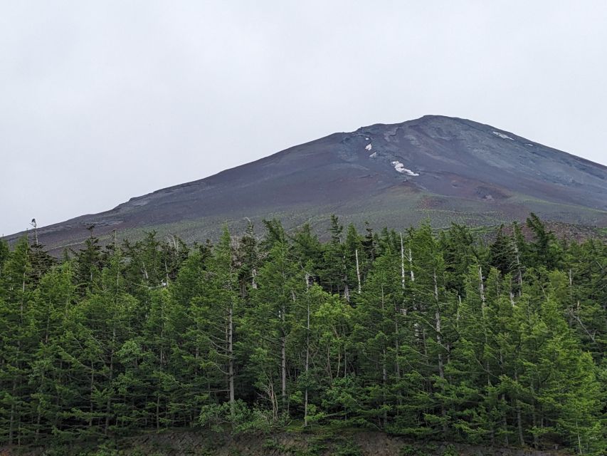 From Tokyo: Mt. Fuji & Hakone Tour W/ Return by Bullet Train - Important Information