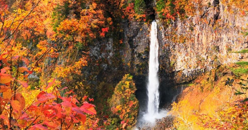 From Tokyo: Nikko UNESCO Shrine and Nature View 1-Day Tour - Frequently Asked Questions