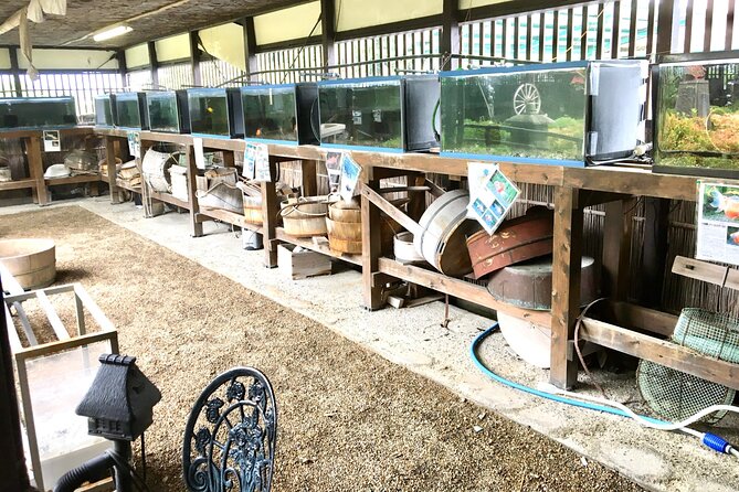 Full-Day Goldfish Unique Experience in Yamato-Koriyama, Nara - Conclusion