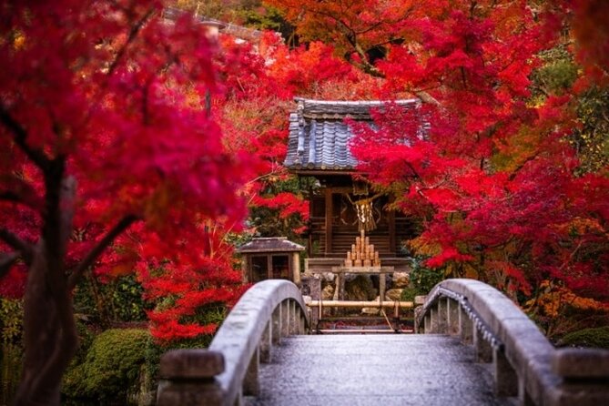 Full Day Hidden Kyotogenic for Autumn Tour in Kyoto - Minimum Participant Requirement