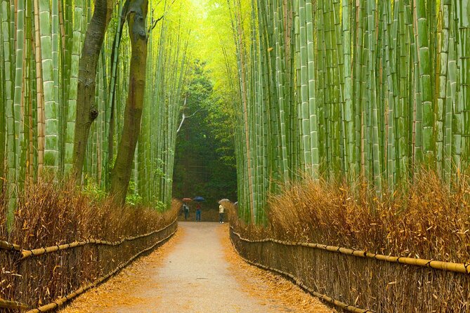 Full-Day Private Bamboo Grove and Golden Temple in Kyoto Tour - Booking and Confirmation Process