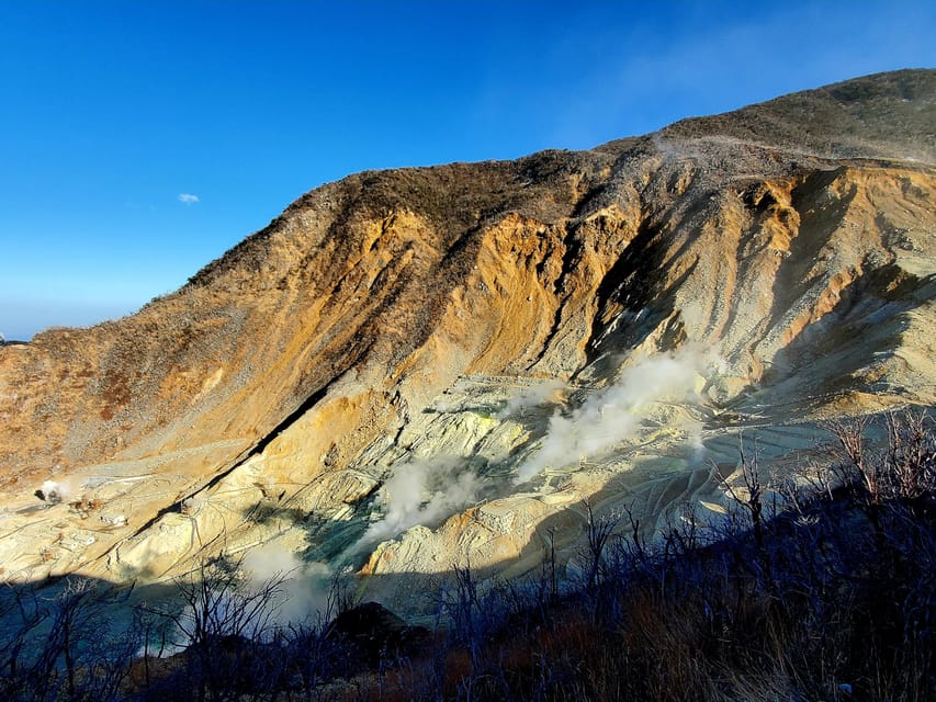 Hakone: Full Day Private Tour With English Guide - Additional Fees