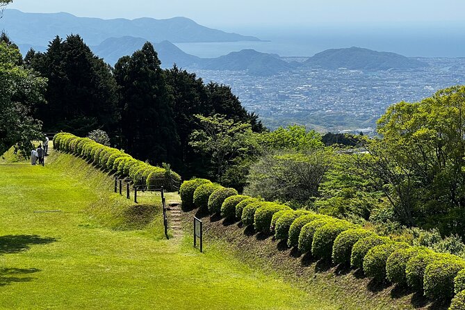 Hike Japan Heritage Hakone Hachiri With Certified Mountain Guide - Booking Information