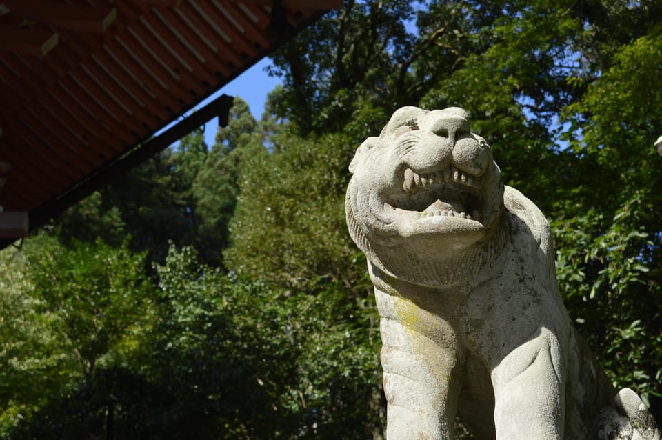 Hike the Mystic Northern Mountains of Kyoto - Guide to Hiking in Kyoto