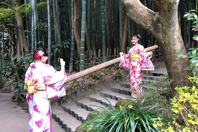 Historic Kamakura: Temples, Shrines and Street Food Private Walking Tour - Inclusions