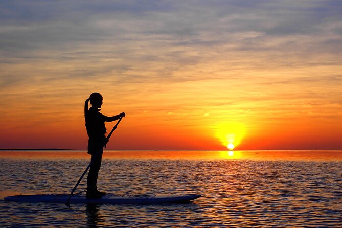 [Ishigaki] Sunset Sup/Canoe Tour - Contact and Pricing