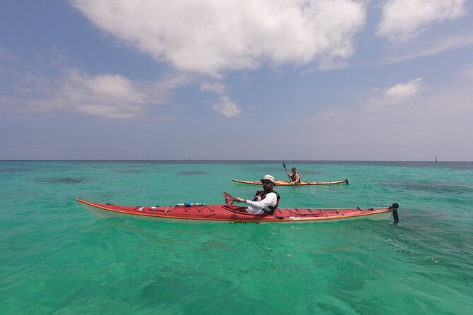 Kayak & Snorkel: Private Tour in Yanbaru, North Okinawa - Copyright and Terms & Conditions