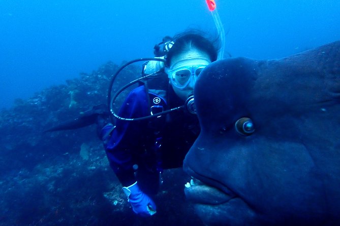 Lets Enjoy Scuba Diving in Izu Oceanic Park Izu Peninsula for Certificate Diver - Traveler Reviews and Ratings