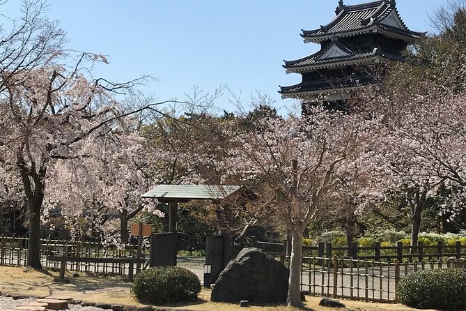 Little Kyoto Nishio :Enjoy Matcha & the First Classic Book Museum - Conclusion