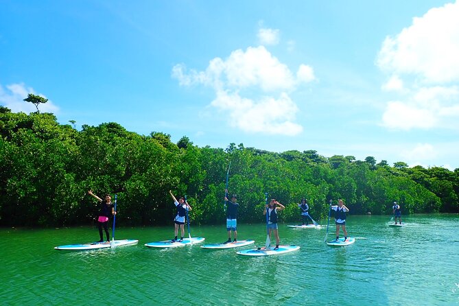 Miyara River 90-Minute Small-Group SUP or Canoe Tour 2024 - Ishigaki - Cancellation Policy and Contact Information