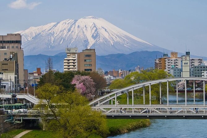 Morioka Full-Day Private Tour With Government-Licensed Guide - Private Tour Benefits