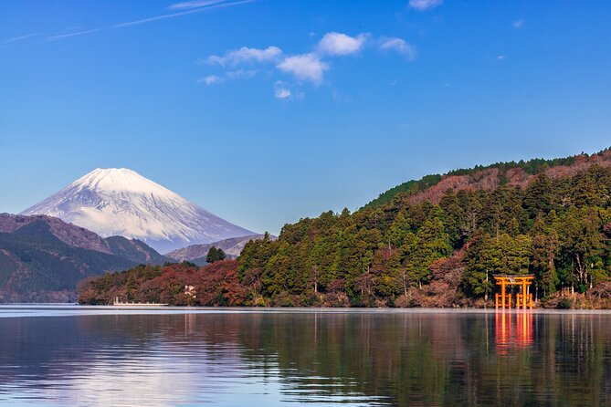 Mt. Fuji and Hakone Day Trip From Tokyo With Bullet Train Option - Common questions