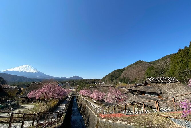 Mt Fuji Full-Day Tour By Car - Photographic Opportunities