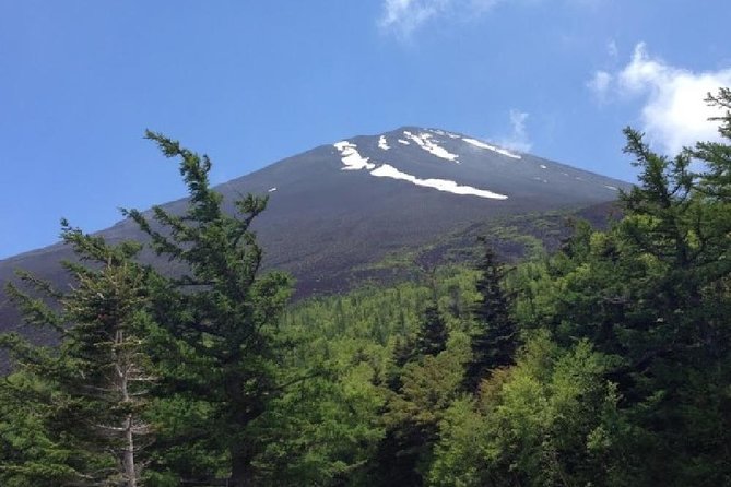 Mt Fuji, Hakone, Lake Ashi Cruise 1 Day Bus Trip From Tokyo - Last Words