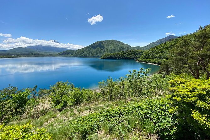 Mt Fuji Lakeshores Full-Day Bike Tour - Cycling Difficulty and Support