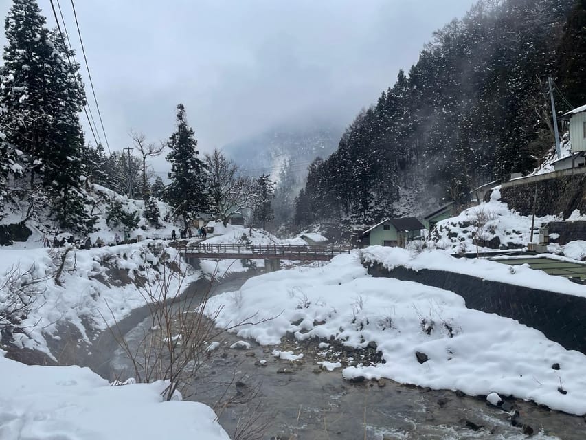 Nagano 1 Day Private Tour (Snow Monkeys, Zenkoji) With Lunch - Travel Tips