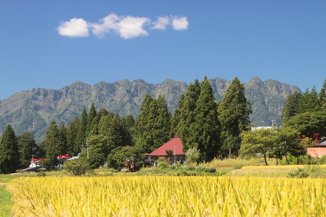 Nagano All Must-Sees Half Day Private Tour With Government-Licensed Guide - Conclusion