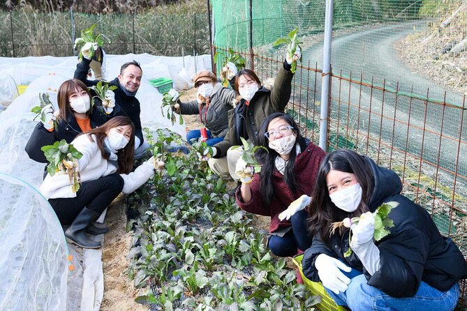 Nara : Farming Experience in a Beautiful Rural Village - Booking and Tour Logistics