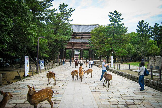 Nara World Heritage Private Tour - Frequently Asked Questions