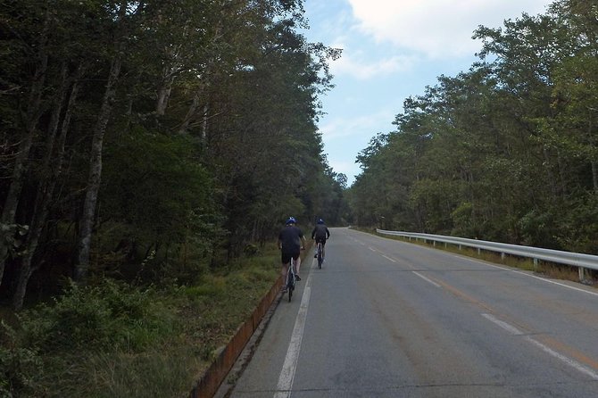 Private 3-Hour Biking Adventure: Descend Mount Fuji 2024 - Fujikawaguchiko-machi - Panoramic Views and Terrain Traversed