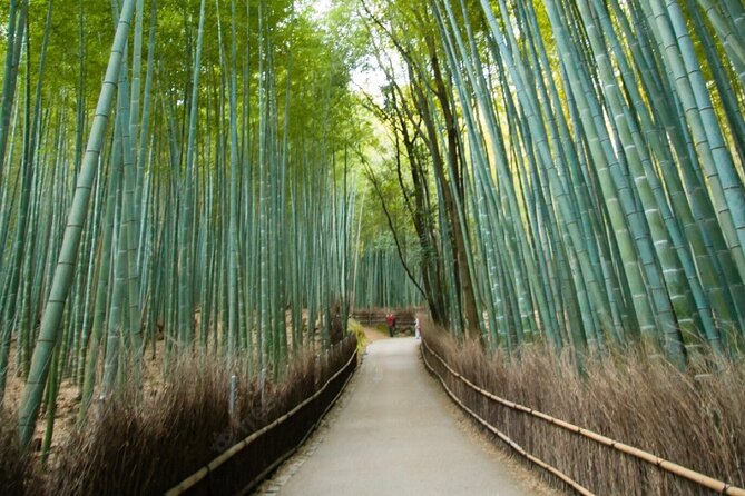 Private Arashiyama Walking Tour: Bamboo, Monkeys & Secrets - Cancellation Details