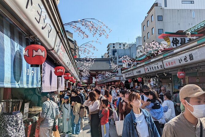 Private Day Tour in Tokyo With a Native English Speaker - Last Words