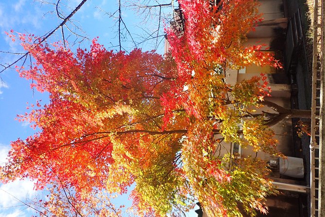 Private-group Morning Cycling Tour in Hida-Furukawa - Daily Life Observations