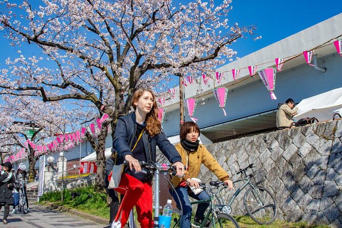 Private Half-Day Cycle Tour of Central Tokyos Backstreets - Last Words