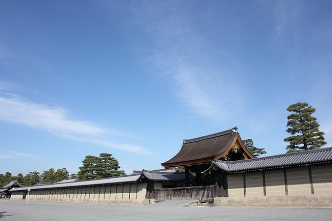 Private Nijo Castle Sightseeing and Nishiki Food Tour - Tips for the Tour