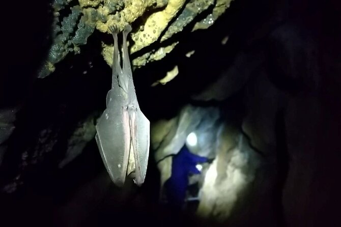 Private Ninja Training in a Cave in Hidaka - Weather Contingency