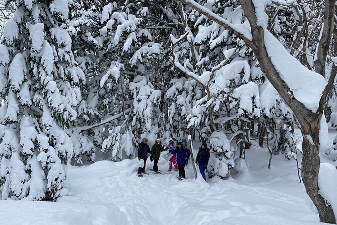 Private Snow Shoe Tour in Shiretoko National Park - Contact Viator Support