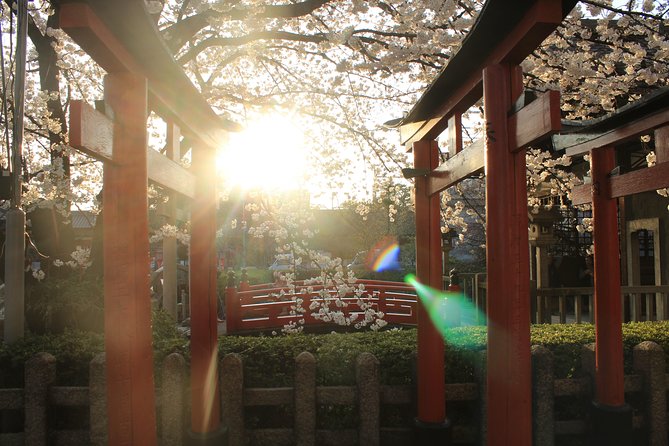 Private & Unique Kyoto Cherry Blossom "Sakura" Experience - Traveler Reviews