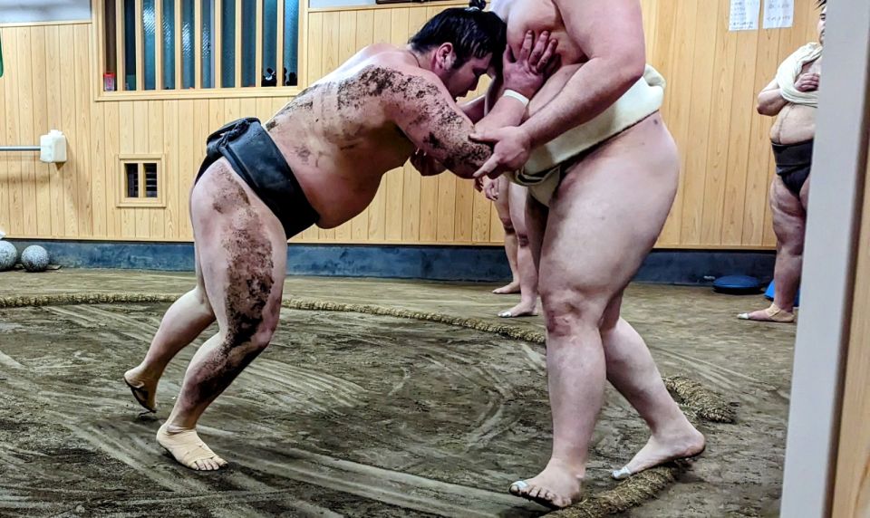 Tokyo: Morning Sumo Practice Viewing - Conclusion