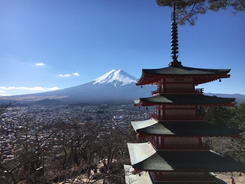 Tokyo: Mt Fuji Area Guided Tour With Traditional Lunch - Customer Reviews