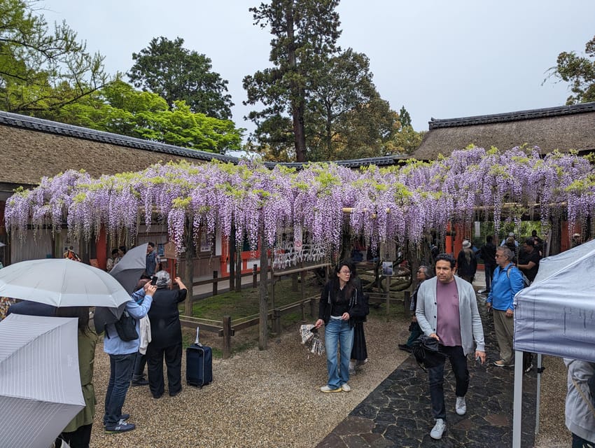 Tokyo: Personalized Half-day Tour - Directions