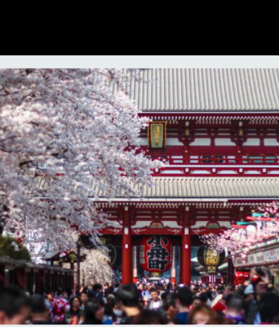 Tokyo Private Tour: Customizable (Up-To 6 Persons) - Directions