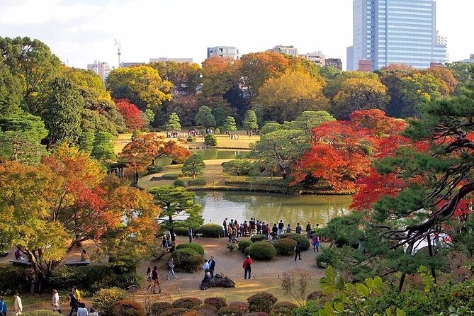 Tokyo Self-Guided Audio Tour - Pricing and Availability