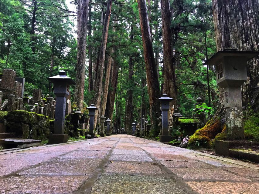Wakayama: Mt. Koya Private Walking Tour With Local Guide - Conclusion