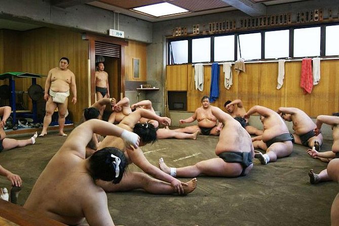 Watch Sumo Morning Practice at Stable in Tokyo - Visitor Behavior and Recommendations