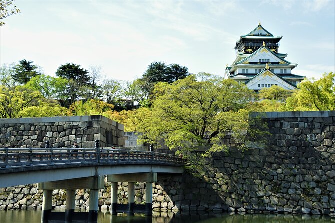 100% Personalized Sightseeing in Osaka With Private Car (6hours) - Conclusion