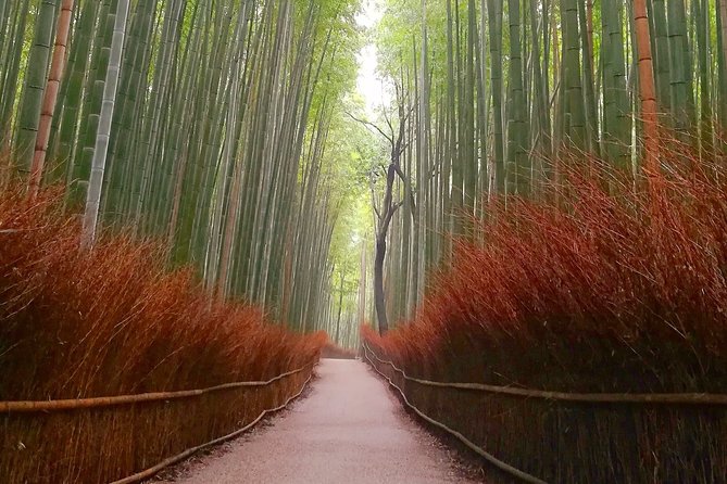 5 Top Highlights of Kyoto With Kyoto Bike Tour - Riverside Cycling Experience