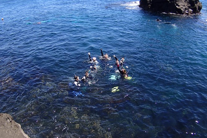 Half-Day Snorkeling CourseRelieved at the BeginningEven in the Sea of Izu, Veteran Instructors Will Guide and Assist You Throughout the Snorkeling Experience - Participant Requirements