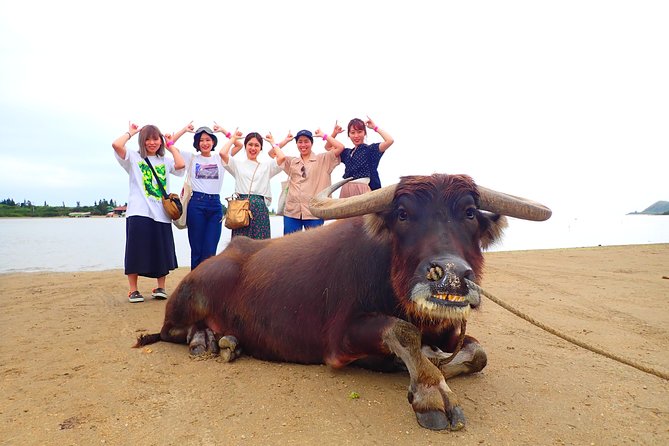 Iriomote: Canoe Tour and Sightseeing in Yubujima Island - Refund and Change Policies