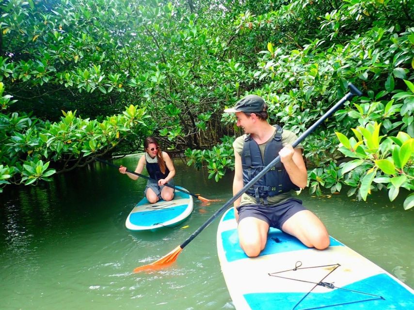 Ishigaki Island: 2-Hour Miyara River Kayaking Tour - Directions for the Tour