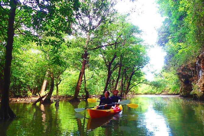 Ishigaki Mangrove SUP/Canoe Blue Cave Snorkeling - Contact for Additional Questions