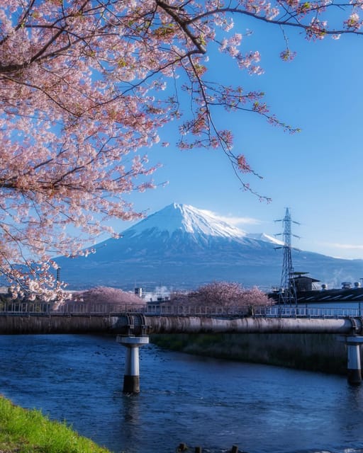 Kanto 10-Hour Chartered Day Trip｜Mt. Fuji Day Trip - Conclusion