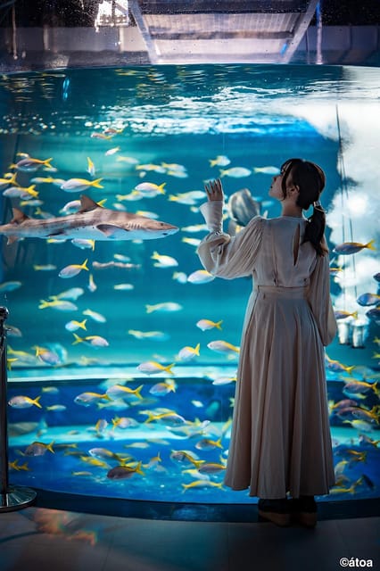 Kobe Urban Aquarium Aquarium×art Átoa Admission Ticket - Conclusion