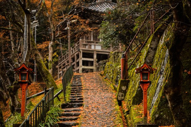 Kyoto Bamboo Forest Electric Bike Tour - Additional Recommendations