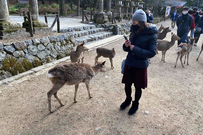 Nara Full-Day Private Tour With Government-Licensed Guide - Personalized Experiences and Expertise