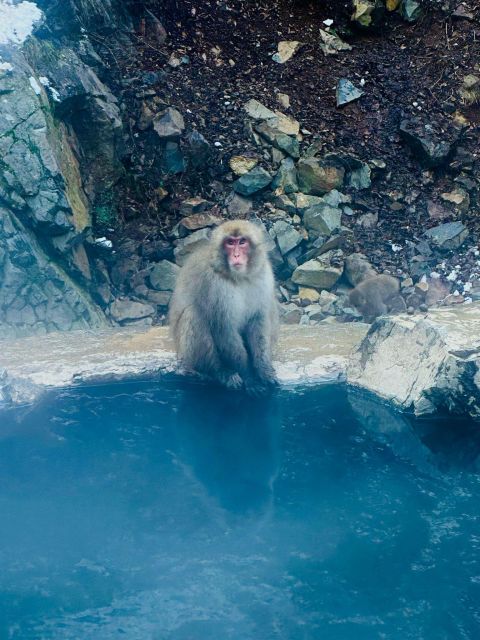 Snow Monkey Park & Zenkoji Temple One Day Trip - Last Words